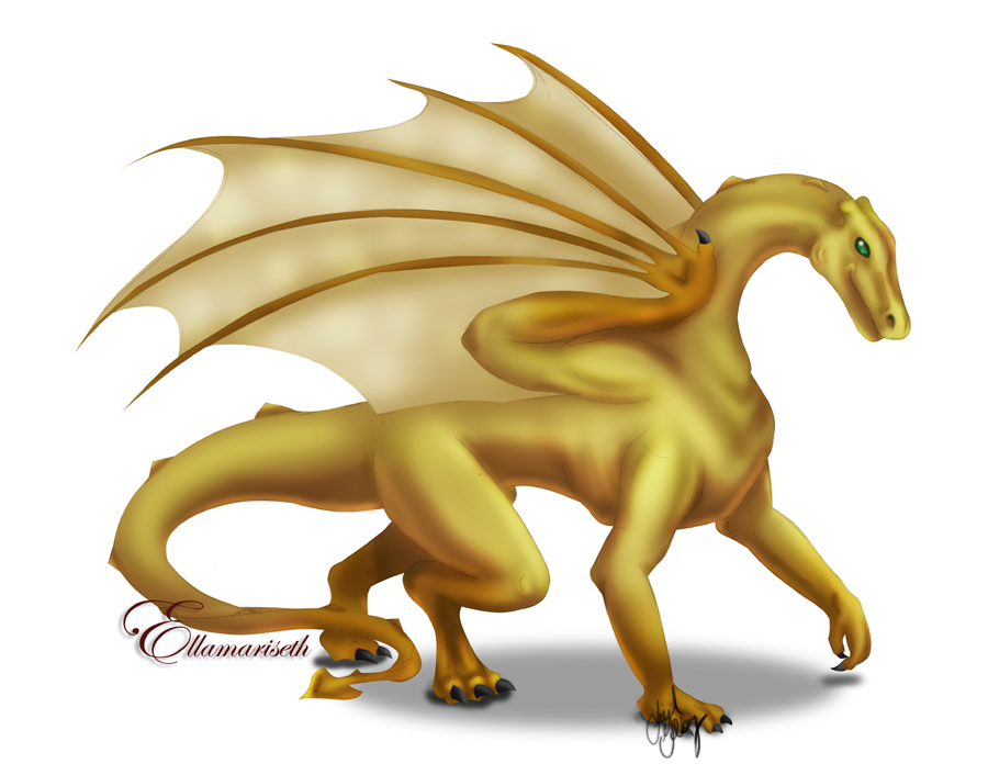 Dragon__Gold_Ellamariseth_by_kaleeko.jpg