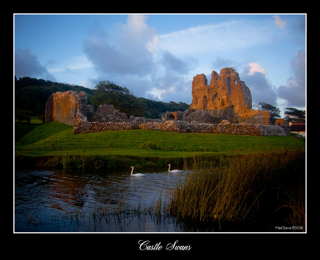 Castle_Swans_by_mad1dave.jpg