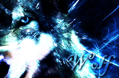 image: Frozen_Wolf_Sign_by_Lept