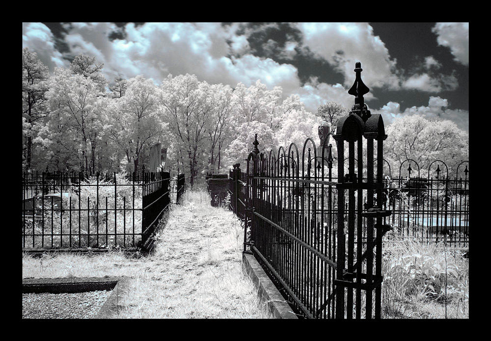 http://fc05.deviantart.com/fs4/i/2004/215/9/b/graveyard___infrared.jpg