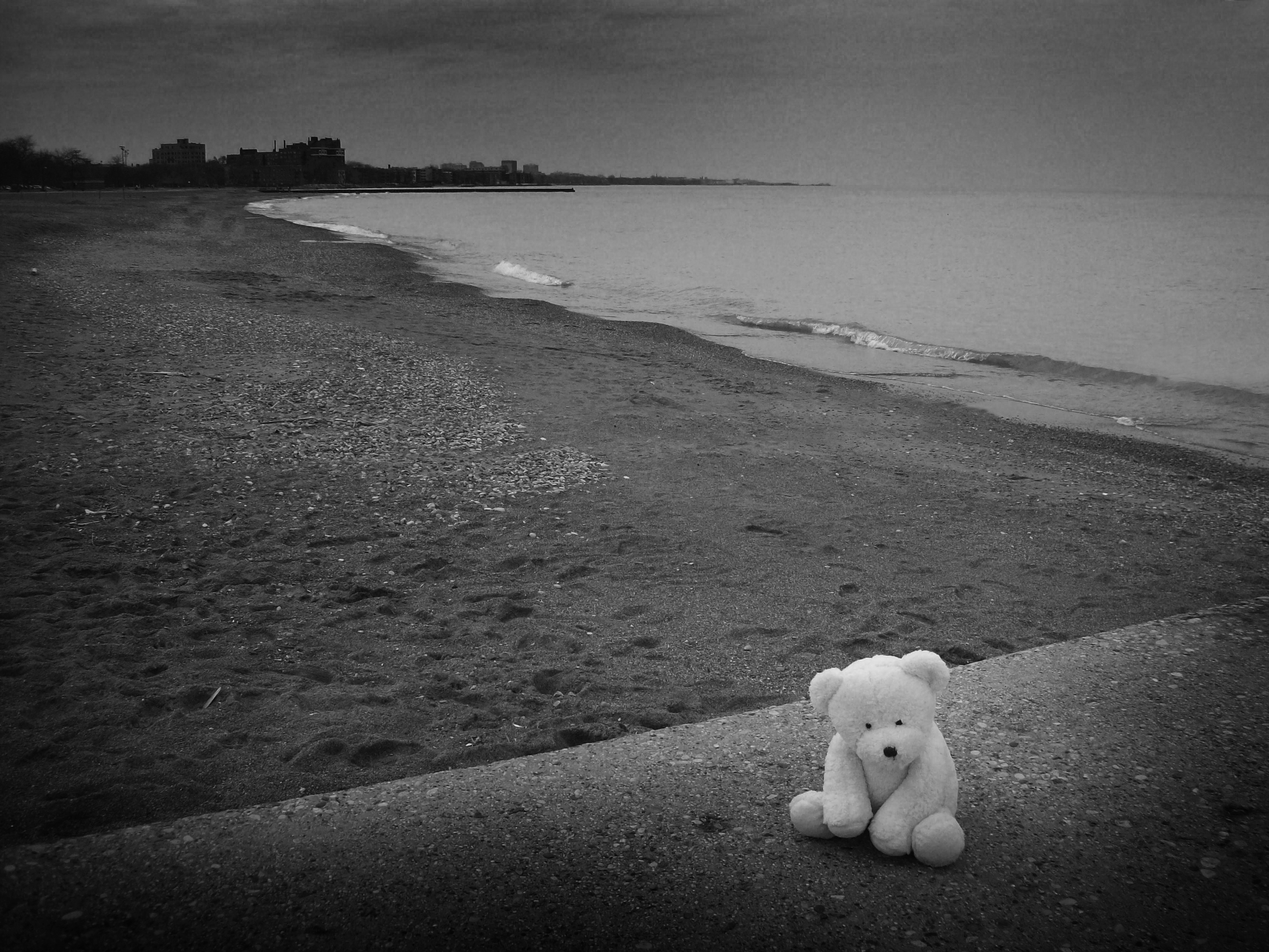 Lonely Bear 5 by kilroyart